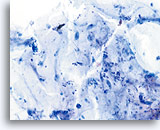 Click to enlarge Image 5