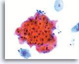 Click to enlarge Image 10