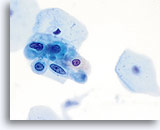 Click to enlarge Image 12