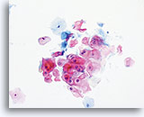 Click to enlarge Image 13