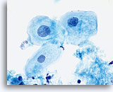 Click to enlarge Image 14