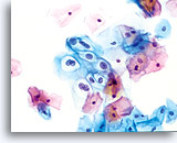 Click to enlarge Image 15