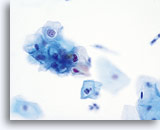 Click to enlarge Image 3