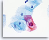 Click to enlarge Image 4