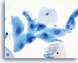 Click to enlarge Image 5