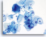 Click to enlarge Image 6