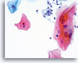 Click to enlarge Image 7