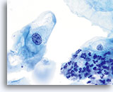 Click to enlarge Image 11