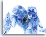 Click to enlarge Image 12