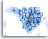 Click to enlarge Image 13