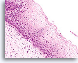 Click to enlarge Image 3