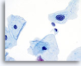 Click to enlarge Image 9