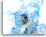 Click to enlarge Image 10