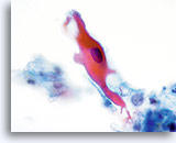 Click to enlarge Image 13