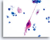 Click to enlarge Image 14