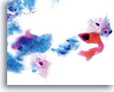 Click to enlarge Image 15