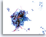 Click to enlarge Image 16