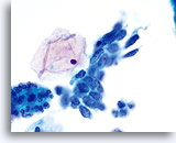 Click to enlarge Image 17