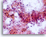 Click to enlarge Image 1