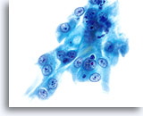 Click to enlarge Image 21