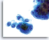 Click to enlarge Image 22