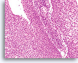 Click to enlarge Image 3