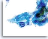 Click to enlarge Image 6