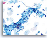 Click to enlarge Image 9