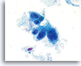 Click to enlarge Image 11