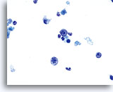 Click to enlarge Image 4