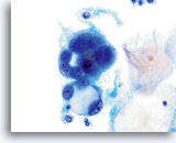 Click to enlarge Image 2