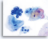 Click to enlarge Image 3