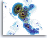 Click to enlarge Image 3