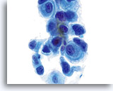 Click to enlarge Image 3