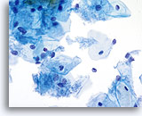 Click to enlarge Image 12