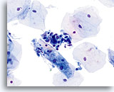 Click to enlarge Image 21