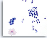 Click to enlarge Image 22