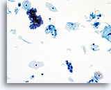 Click to enlarge Image 23