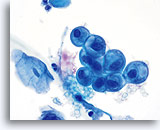 Click to enlarge Image 4