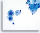 Click to enlarge Image 5