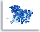 Click to enlarge Image 24