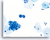 Click to enlarge Image 34