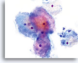 Click to enlarge Image 35