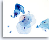 Click to enlarge Image 39