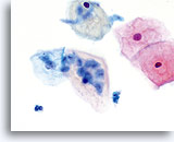 Click to enlarge Image 27