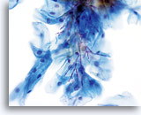 Click to enlarge Image 29