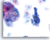 Click to enlarge Image 31