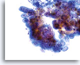 Click to enlarge Image 32