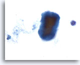 Click to enlarge Image 2