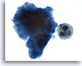 Click to enlarge Image 3